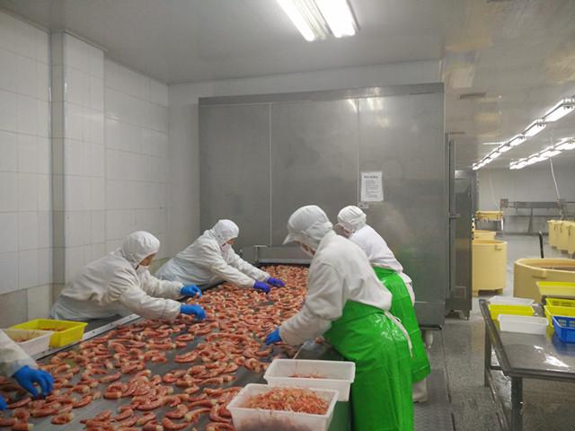 蝦類速凍加工生產線 海產品加工設備 蝦類加工設備