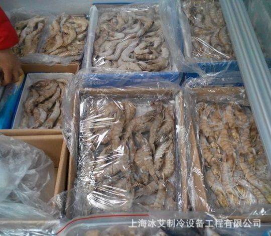 徐州提供速凍冷庫 組合冷庫 冷凍海鮮冷庫安裝公司