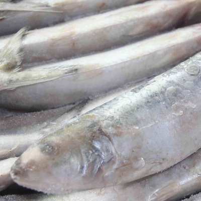 【供應批發冷凍水產品加工 冷凍冰凍生鮮海產品 飼料魚】價格,廠家,圖片,動物性飼料原料,石獅市萬恒水產經營部-