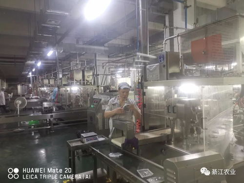 區縣解讀 綦江副區長蒲德洪調研綦江區農產品加工企業發展
