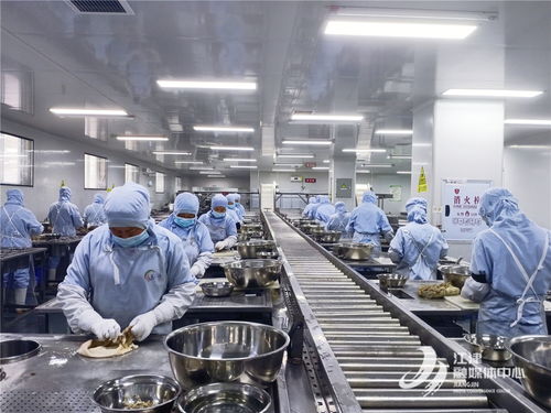 奏響 高質量發展 三部曲 白沙工業園 唱響 食品及農產品加工最強音
