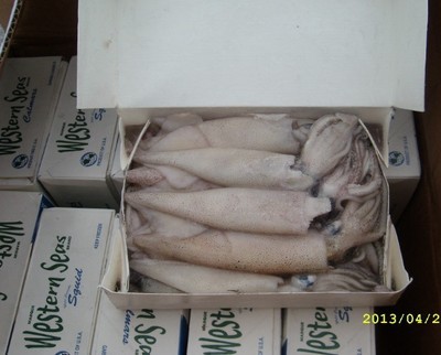 供應新西蘭冷凍魷魚 魷魚須 魷魚頭 魷魚筒_供應新西蘭冷凍魷魚 魷魚須 魷魚頭 魷魚筒價格_供應新西蘭冷凍魷魚 魷魚須 魷魚頭 魷魚筒廠家冷凍粗加工水產品