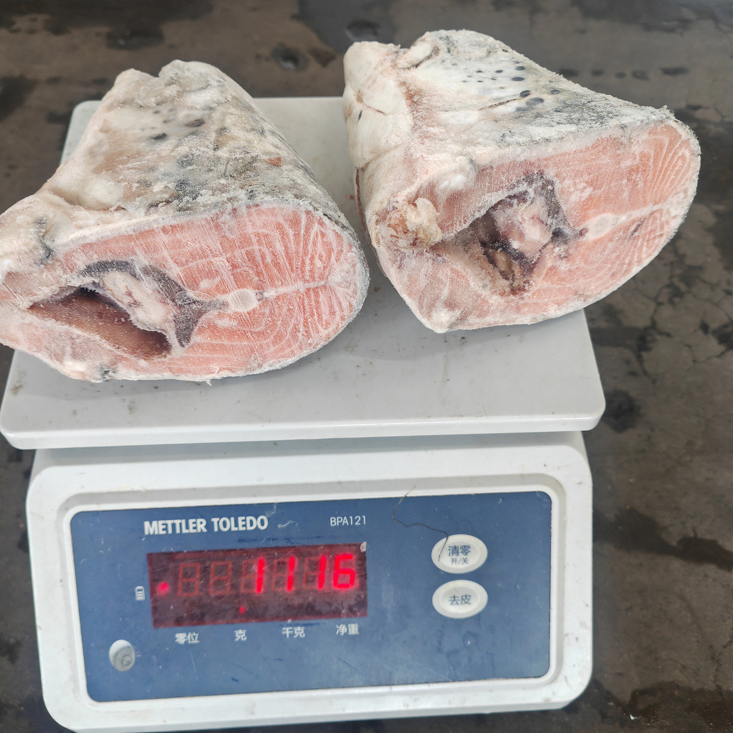 三文魚魚頭加工處理冷凍批發煲湯剁椒魚頭食材海鮮水產餐飲食材