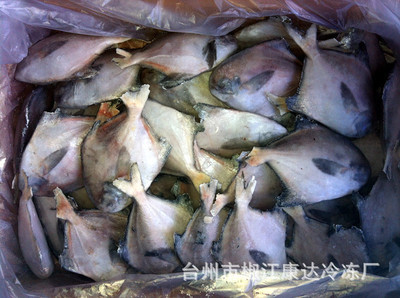 【批發供應水產品粗加工 優質鰳魚粗加工 貨真價實】價格,廠家,圖片,鮮活/冷凍水產,臺州市椒江康達冷凍廠-
