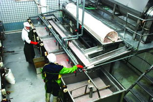 石獅伏季休漁結束 水產品加工企業一片繁忙 圖