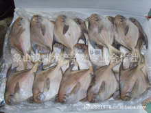 象山_鮮活水產加工制品_象山批發_象山供應_阿里巴巴