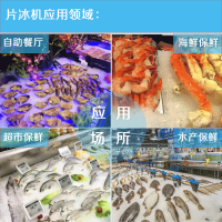 【利爾1噸片冰機肉食品加工降溫、超市海鮮保鮮圖片】利爾1噸片冰機肉食品加工降溫、超市海鮮保鮮