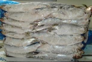 【冷凍鱈魚 銀魚 章魚 鯧魚 】價格,廠家,冷凍粗加工水產品