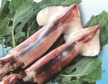 冷凍粗加工水產(chǎn)品-南光出售各種規(guī)格的魷魚-冷凍粗加工水產(chǎn)品盡在阿里巴巴-榮成南光.