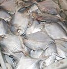 冷凍粗加工水產(chǎn)品-廠家低價直銷鯧魚 冷凍海珍品-冷凍粗加工水產(chǎn)品盡在阿里巴巴-.