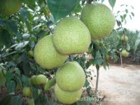 公司簡(jiǎn)介