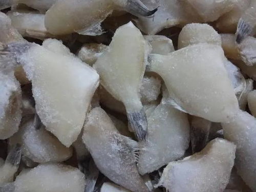 這種長(zhǎng)得像老鼠的魚(yú),憑什么風(fēng)靡川渝