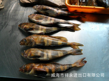 出口俄羅斯_冷凍粗加工水產(chǎn)品_出口俄羅斯批發(fā)_出口俄羅斯供應(yīng)_阿里巴巴
