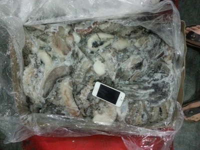 冷凍粗加工水產(chǎn)品-冷凍 魷魚(yú)腿 質(zhì)量好102202海產(chǎn)品-冷凍粗加工.