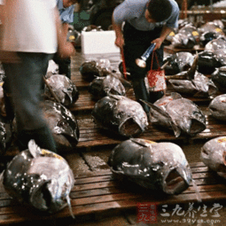 煙臺(tái)檢驗(yàn)檢疫局扶持轄區(qū)遠(yuǎn)洋自捕水產(chǎn)品產(chǎn)業(yè)