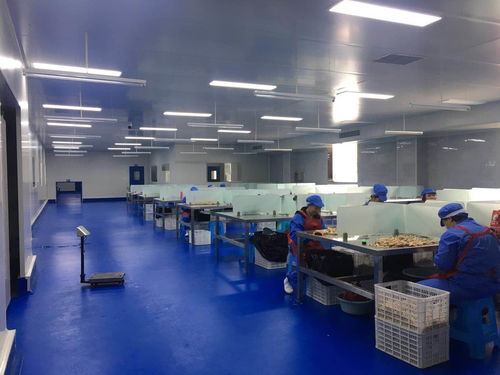 食品加工廠招聘化驗(yàn)員