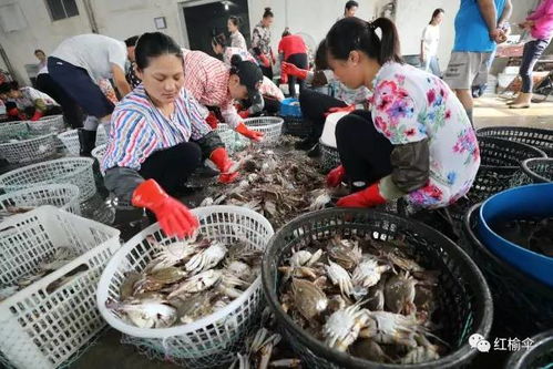 開海了 想買最新鮮 地道的海鮮,老連云港人都來這里