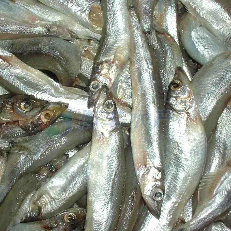 【圖】挪威生凍多春魚 風(fēng)干生凍多春魚 冰凍海鮮_冷凍粗加工水產(chǎn)品_列