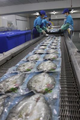 珠海海鱸魚企業(yè),推進(jìn)白蕉海鱸價(jià)格的新方向